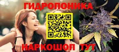 а пвп мука Надым