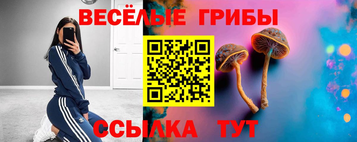 Нарткала  Галлюциногенные грибы MAGIC MUSHROOMS  Вход с VPN 